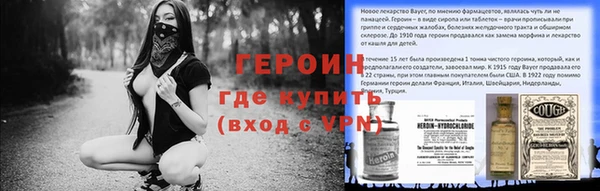 прущие грибы Алзамай